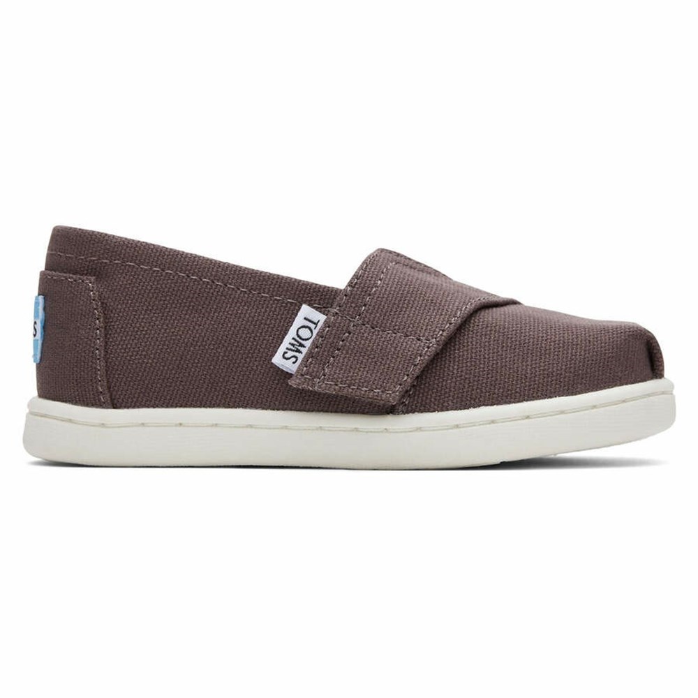 Toms Is Up for Sale